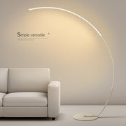 Duo-Tone LED Floor Lamp