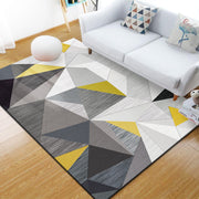 Nordic Modern Minimalist Carpet