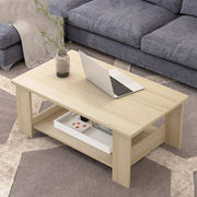 Modern Coffee Table with Storage Rack